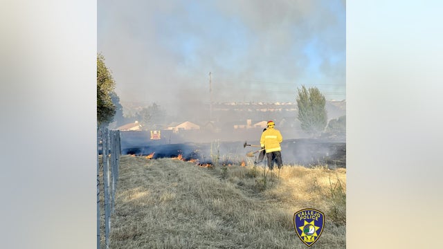 Vallejo MMA artist detains suspected arsonist with stolen Tesla: Reports