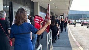 United Airlines workers picket outside SFO airport terminal