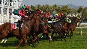 3-year-old horse dies after winning race at Sonoma County Fair