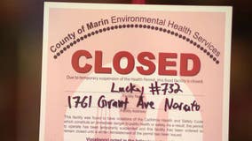Novato Lucky grocery store closed due to rat infestation