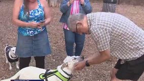 Deaf dog from Mexico shares common bond with potential new Bay Area owner