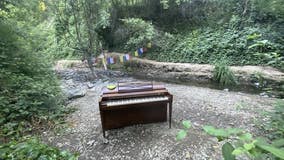 Mystery may be solved behind an upright piano that one day appeared in an Oakland park