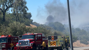 5-acre fire in Hayward hills near Cal State East Bay contained