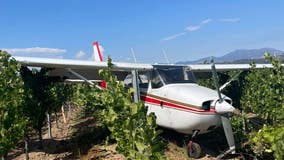 Small plane crash lands into Sonoma County vineyard