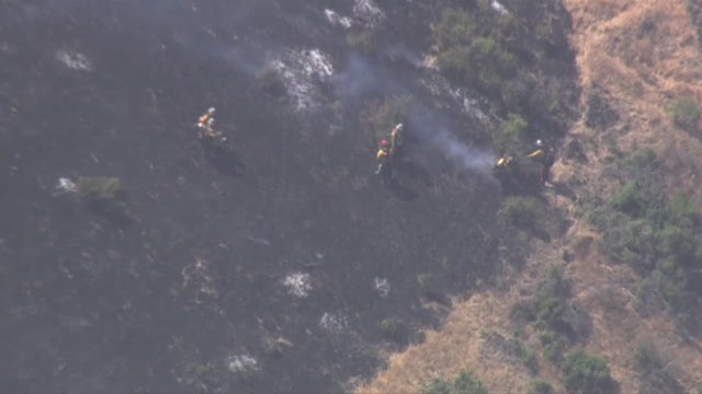 Vegetation fire breaks out in Port Costa