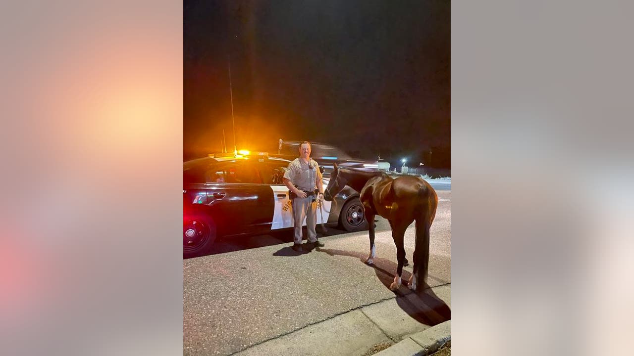 Merced man arrested for DUI while riding a horse | KTVU FOX 2
