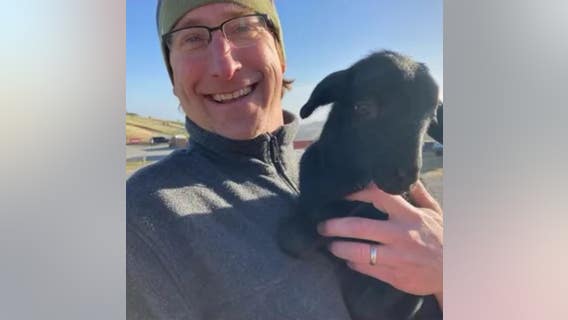 Hayward father of 3 was bicyclist killed in hit-and-run