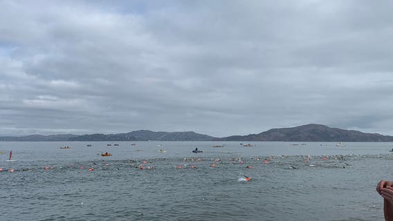 Hundreds swim in San Francisco Bay to raise money for cancer research