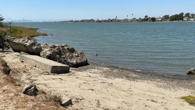Victim's fiancé charged with murder after dismembered body found near Alameda shoreline