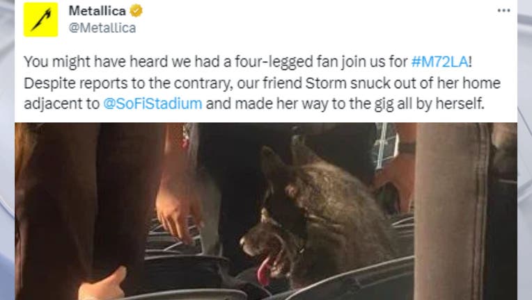 metallica-dog-fair-use-1.jpg