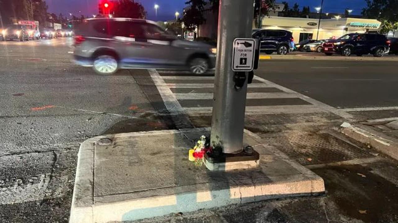 San Jose police arrest 15-year-old after hit-and-run kills pregnant mom, baby - Vimarsana News