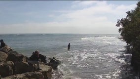 Search for swimmer called off, shark attack still unconfirmed