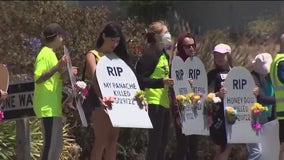 Activists protest 4th horse death in two weeks at Golden Gate Fields