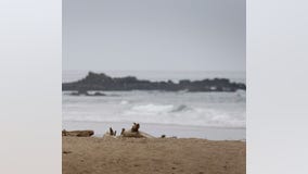 1 dead, 2 injured after car drives off cliff in San Mateo County