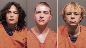 Colorado 'blood brothers' threw rocks at moving cars for 2 months before killing woman: investigator