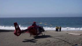 Recovery crews search for body of swimmer, missing in possible shark attack off Marin County coast