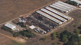Innovative, eco-friendly North Bay farm may not survive a recent fire