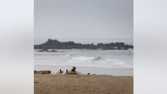 1 dead, 2 injured after car drives off cliff in San Mateo County