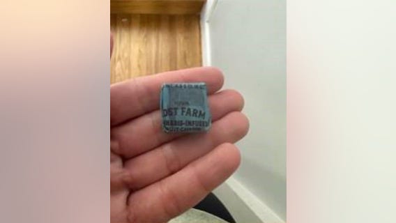 Cannabis candies found after kids attend Halloween event at Alameda school