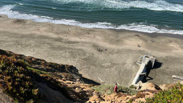 SF fire rescues man, dog from steep cliff near Ft. Funston