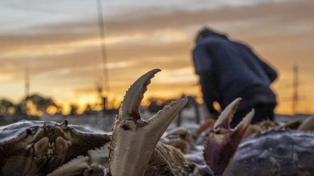 Crab fisherman happy to finally make money as season gets late start