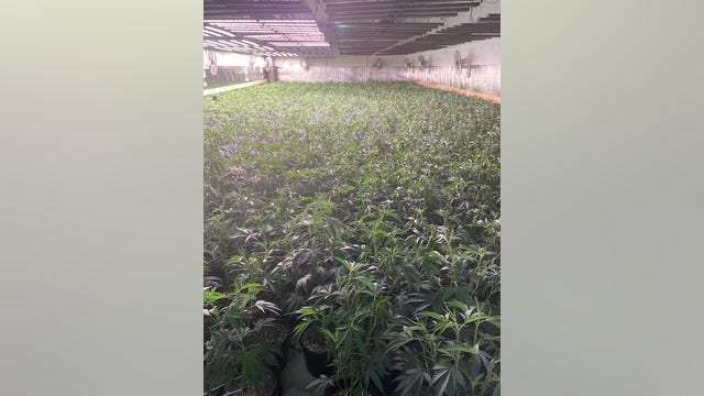 $36.9 million of cannabis found in Oakland warehouse