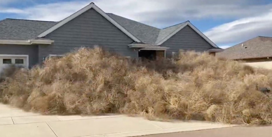 Winds Send Tumbleweeds Flying, Bury Homes In Montana - Videos from The  Weather Channel