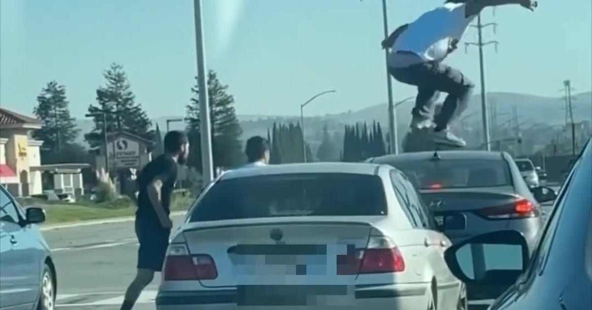 Video: Man arrested after road rage incident injures dog in San Jose ...