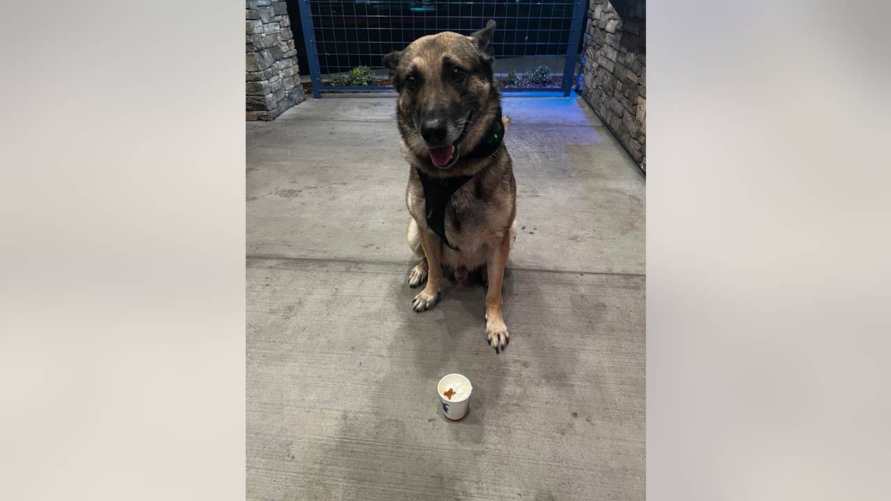 Meet K9 Bruno, the newest addition to LCSO