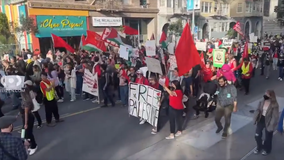 Thousands gather at SF's Civic Center to demand a ceasefire in Gaza