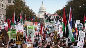 Photos: Thousands marched in support of Palestine all over the world Saturday