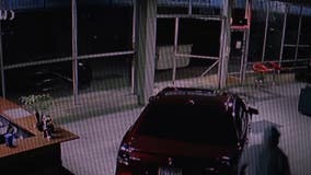 Thieves raid Hayward car dealership, return for more
