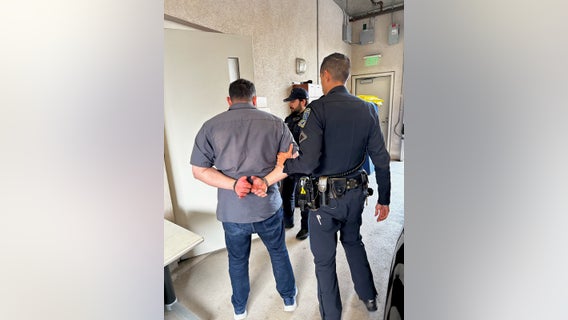 Dog and pedestrian struck by hit-and-run driver; dog dies, driver arrested, police say