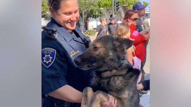 Livermore police say goodbye to beloved K9 Bugsy