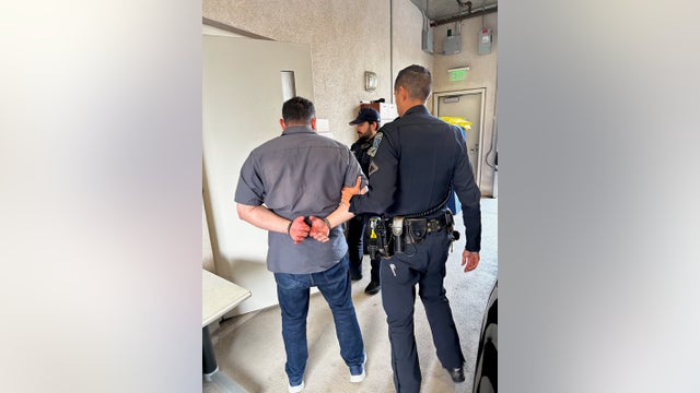 Dog and pedestrian struck by hit-and-run driver; dog dies, driver arrested, police say