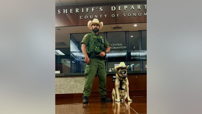 K-9 Bruno Retires from the Sonoma County Sheriff's Office