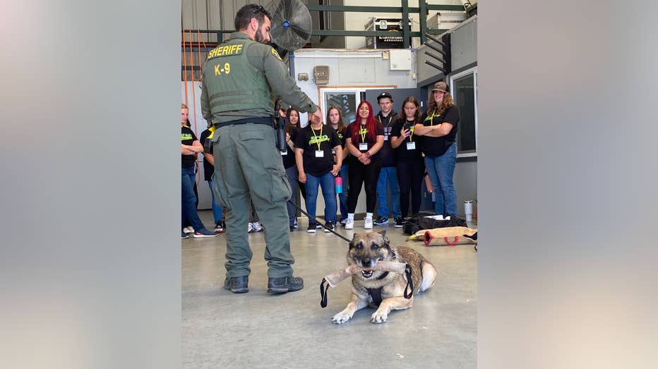 Rest easy': Outpouring of love for recently retired North Bay K9 that died  suddenly