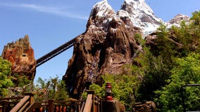 Disney World guests reportedly get stuck on steep incline aboard Expedition Everest coaster for 30 minutes