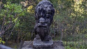 Investigators search for lion statue stolen from historic Saratoga property