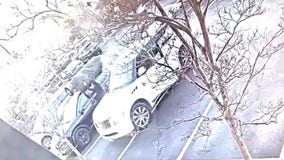 Christmas crime: Man steals tree from roof of car in San Mateo