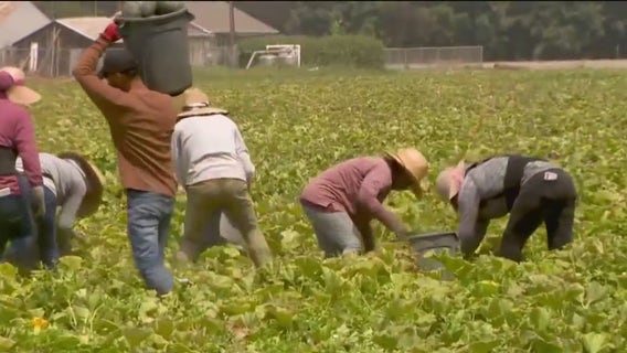 Half Moon Bay gets $2 Million for farmworker housing