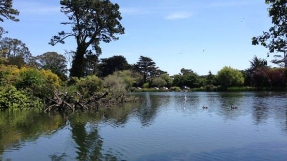 San Francisco's Stow Lake renamed Blue Heron Lake
