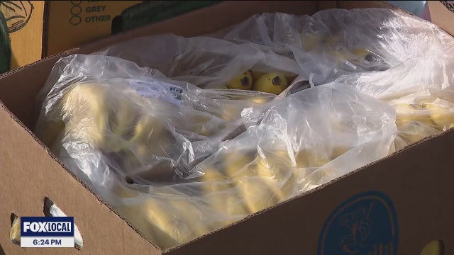 Bay Area food banks pushing to meet growing need