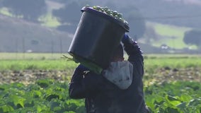 Farmworkers cling to hope 1 year after Half Moon Bay mass shooting