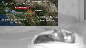 VIDEO: California earthquake rattles 2 cuddling cats in Riverside