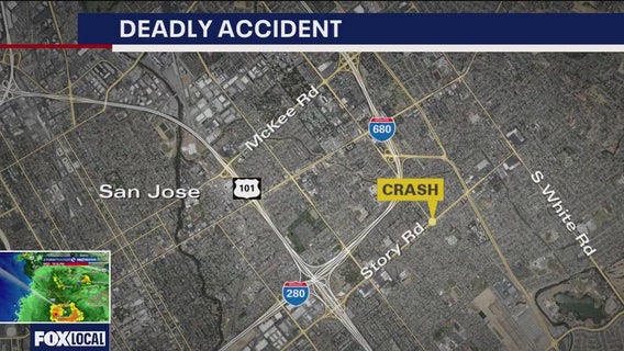 Man flees police, dies after crashing into another police car