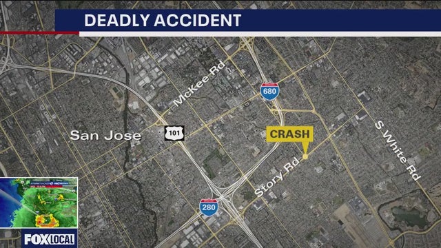 Man flees police, dies after crashing into another police car