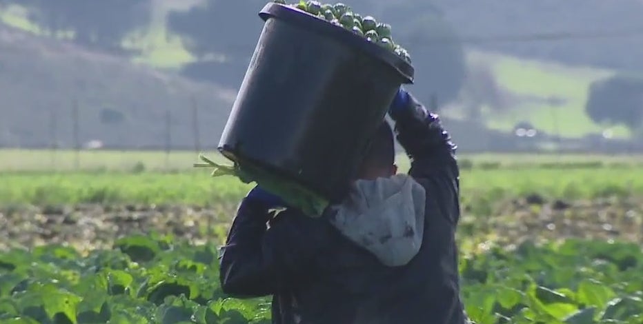 Farmworkers cling to hope 1 year after Half Moon Bay mass shooting
