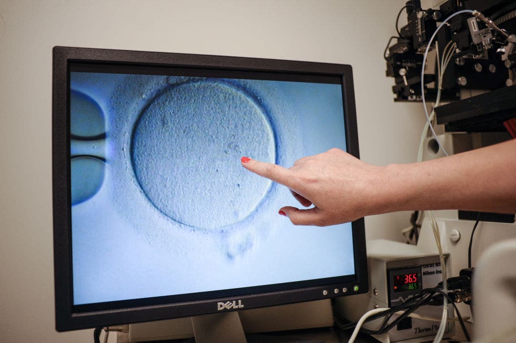 Millions of Californians gain access to in vitro fertilization under new law