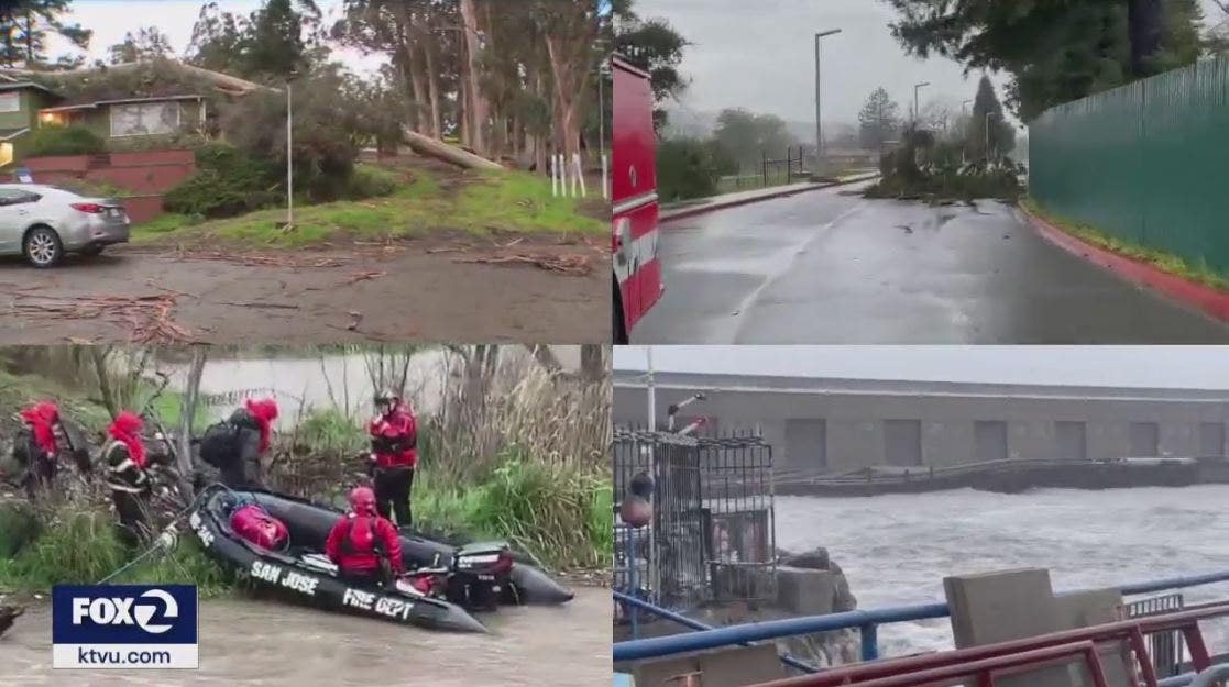 Bay Area cleans up after storm topples trees, causes widespread outages ...